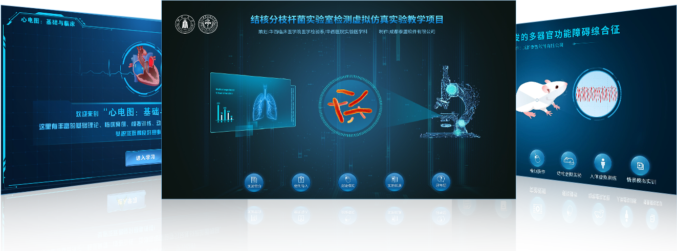 仿真实验教学项目