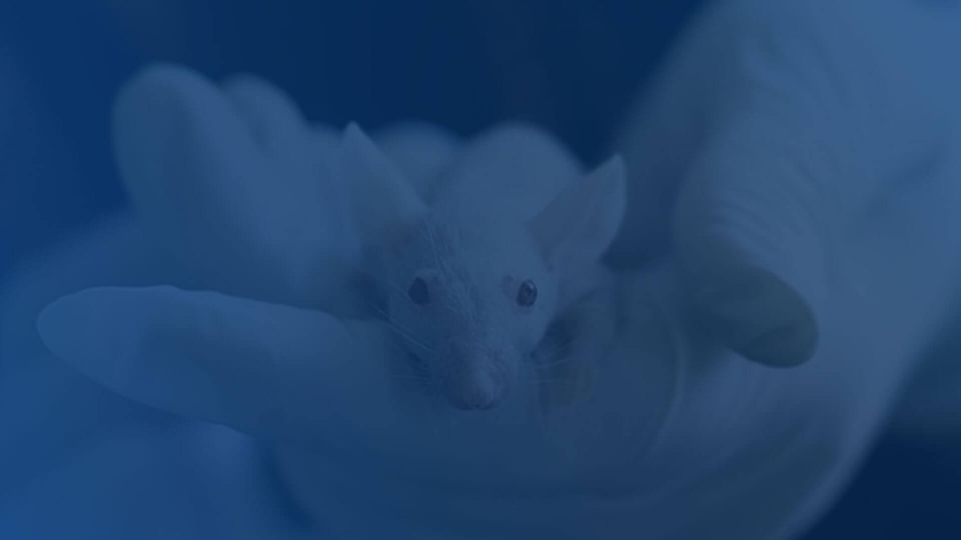 虚拟课程背景图